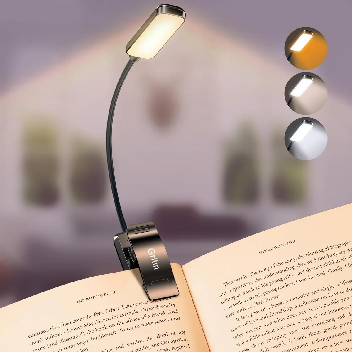 Best Overall LED Book Light