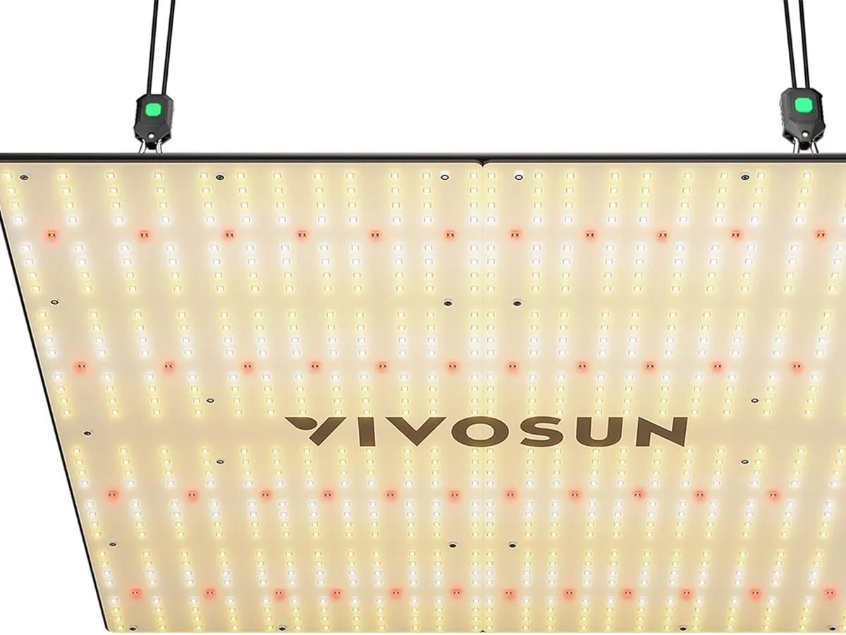 Best for Beginners