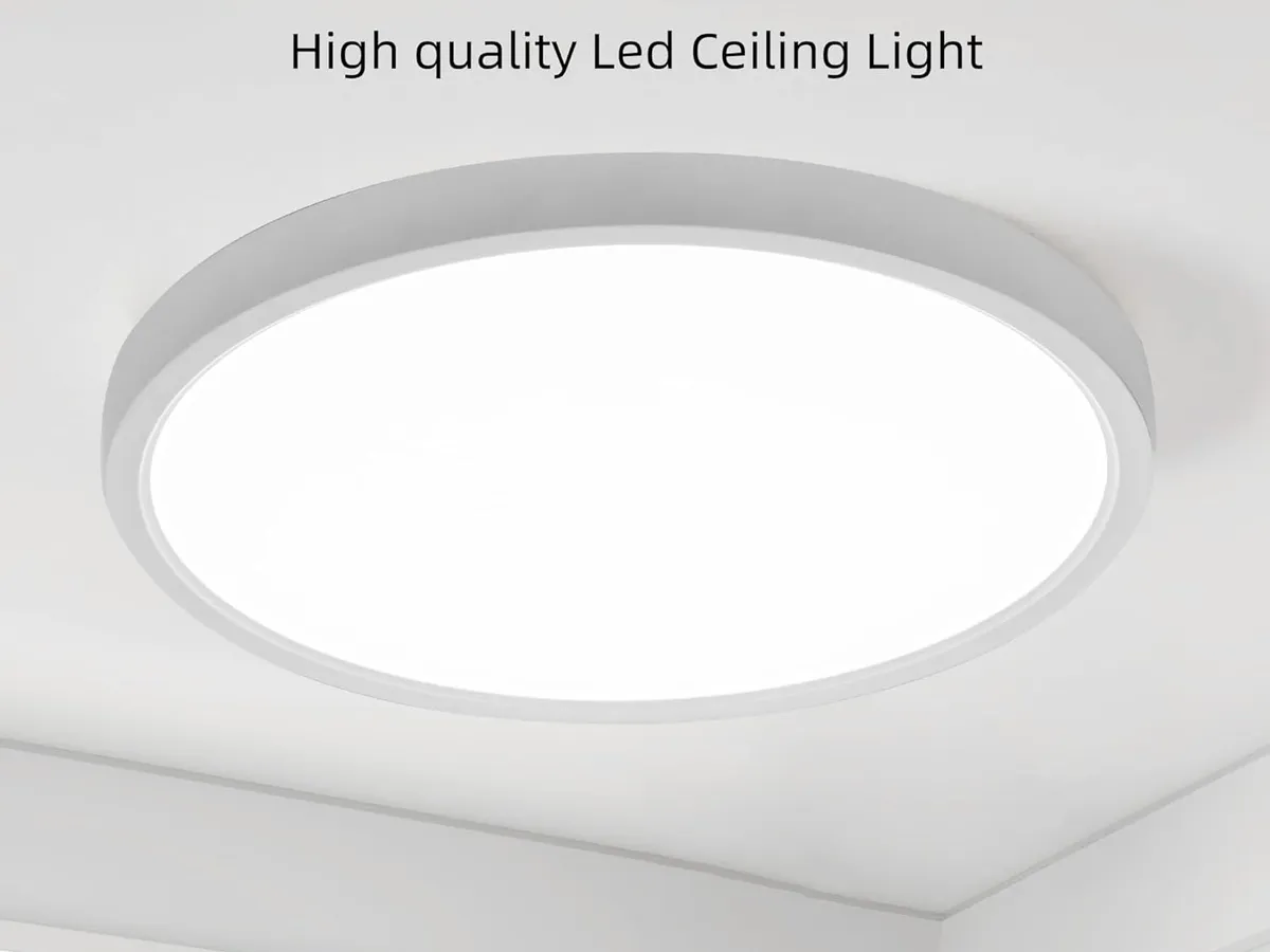 Best Ceiling Light