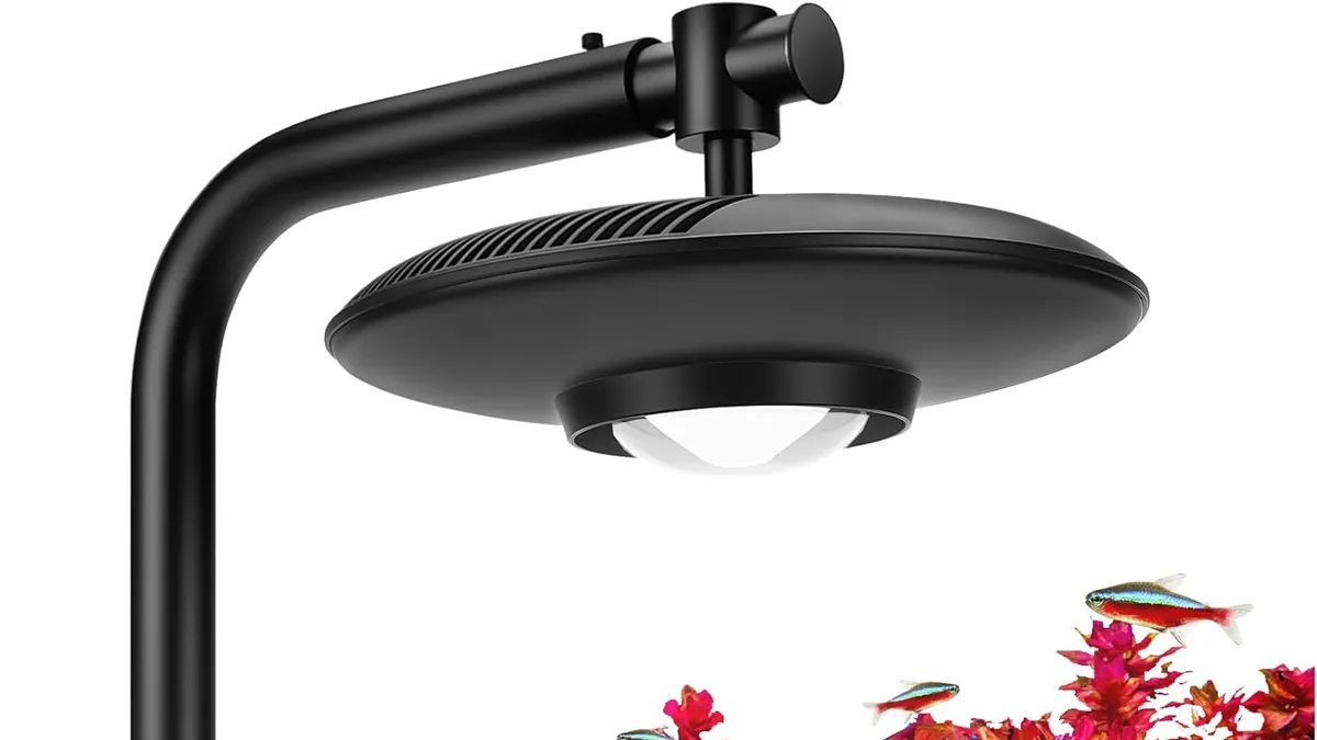 Best High-Light for Demanding Plants