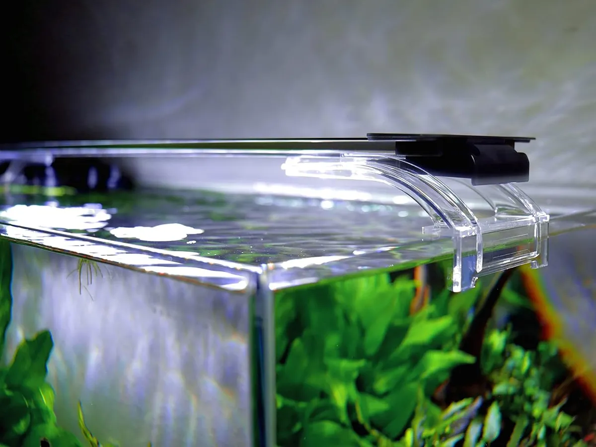  Best Automated Day/Night Cycle