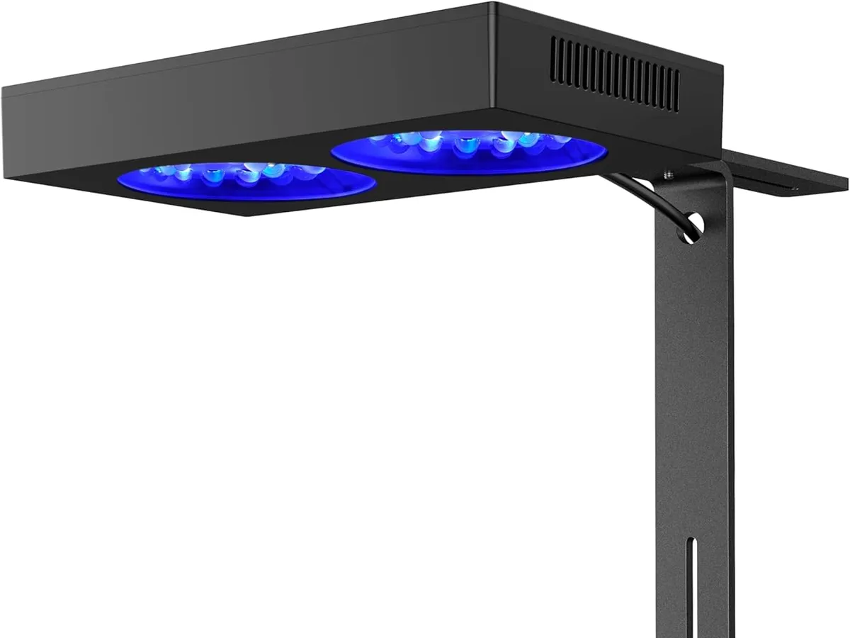 Best Flagship Reef LED