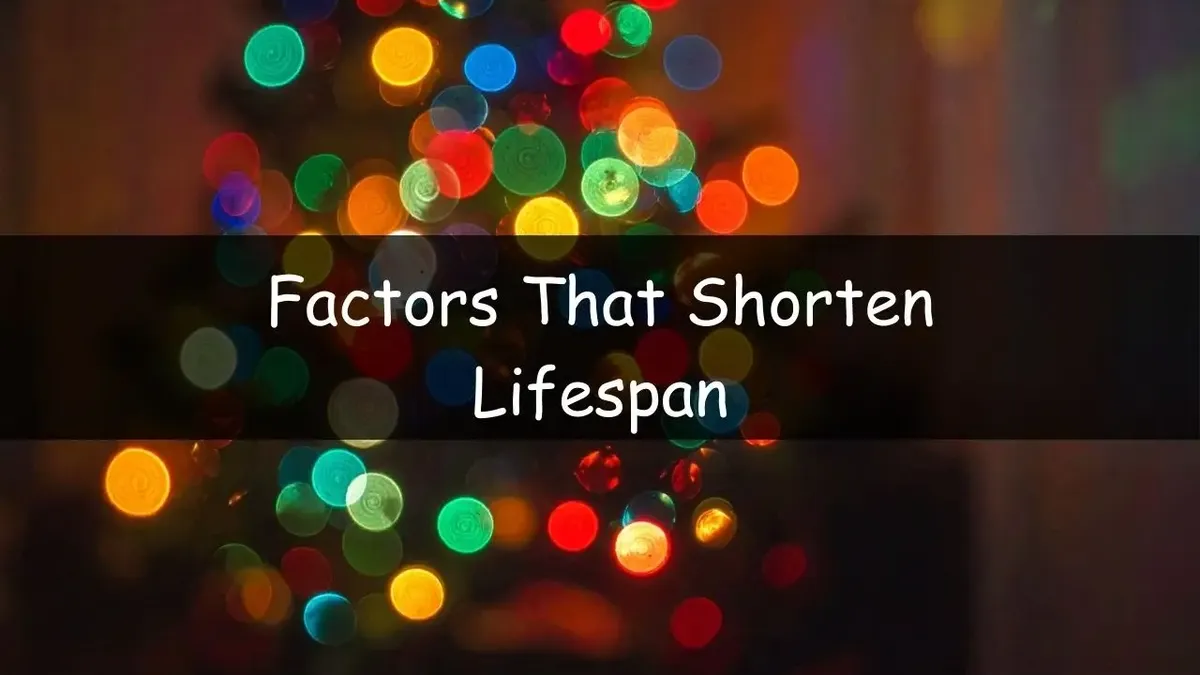 Factors That Shorten Lifespan