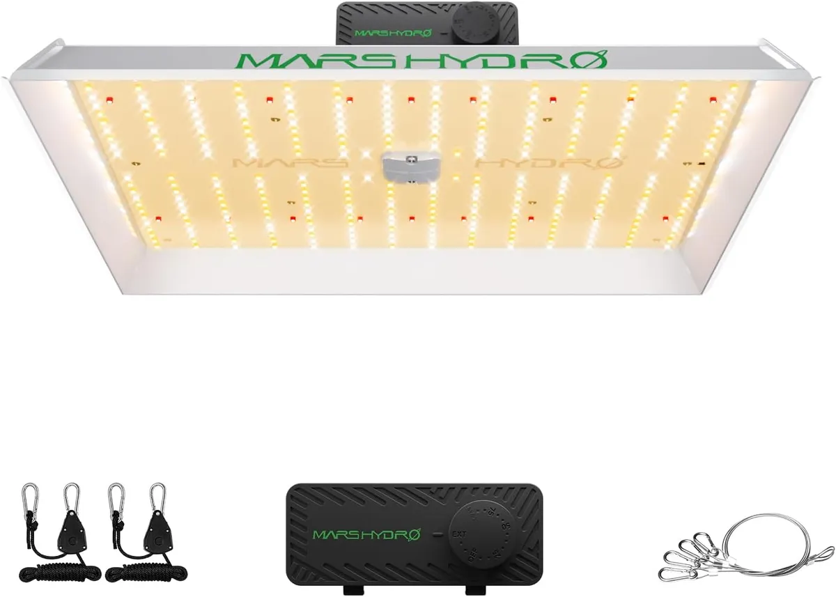 Mars Hydro TS1000 Review: Best Beginner Grow Light?