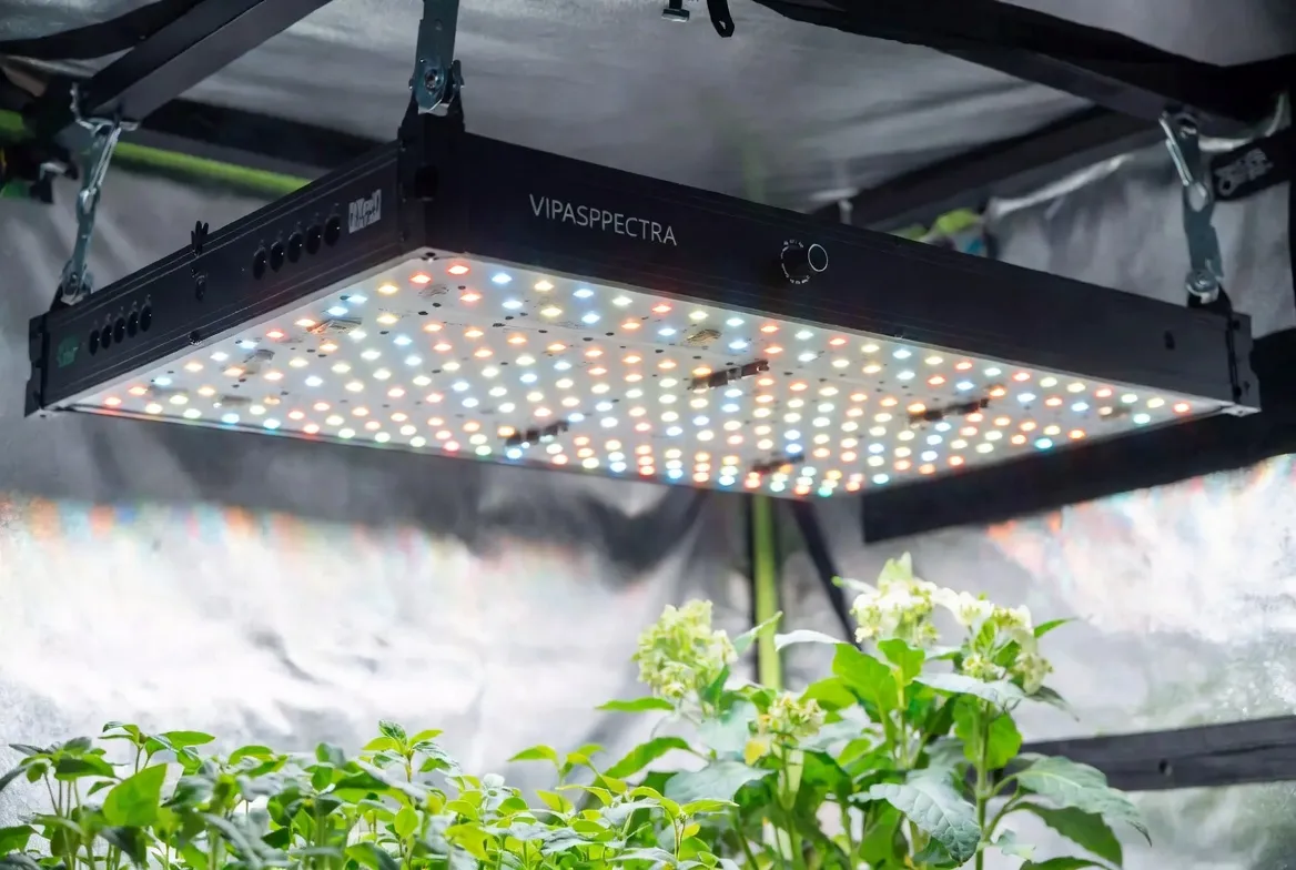 VIPARSPECTRA P1000 LED Grow Light.jpg
